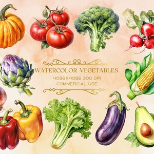 Hermosa acuarela vegetales Clip Art, vegetales de jardín, imágenes prediseñadas vegetales, acuarela vegetal, ilustración de alimentos, imagen vegetal