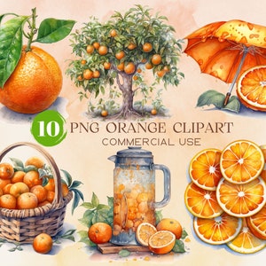 Watercolor Oranges Clipart - Digital PNG Citrus, Orange Tree Png, Juice Clipart, Tropical Clipart, Summer Clipart Commercial Use