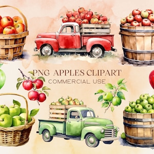 Watercolor Green and Red Apples Fruits Clipart Bundle PNG, Apples in Barrel, Apple Harvest Graphics for Instant Download Commercial Use