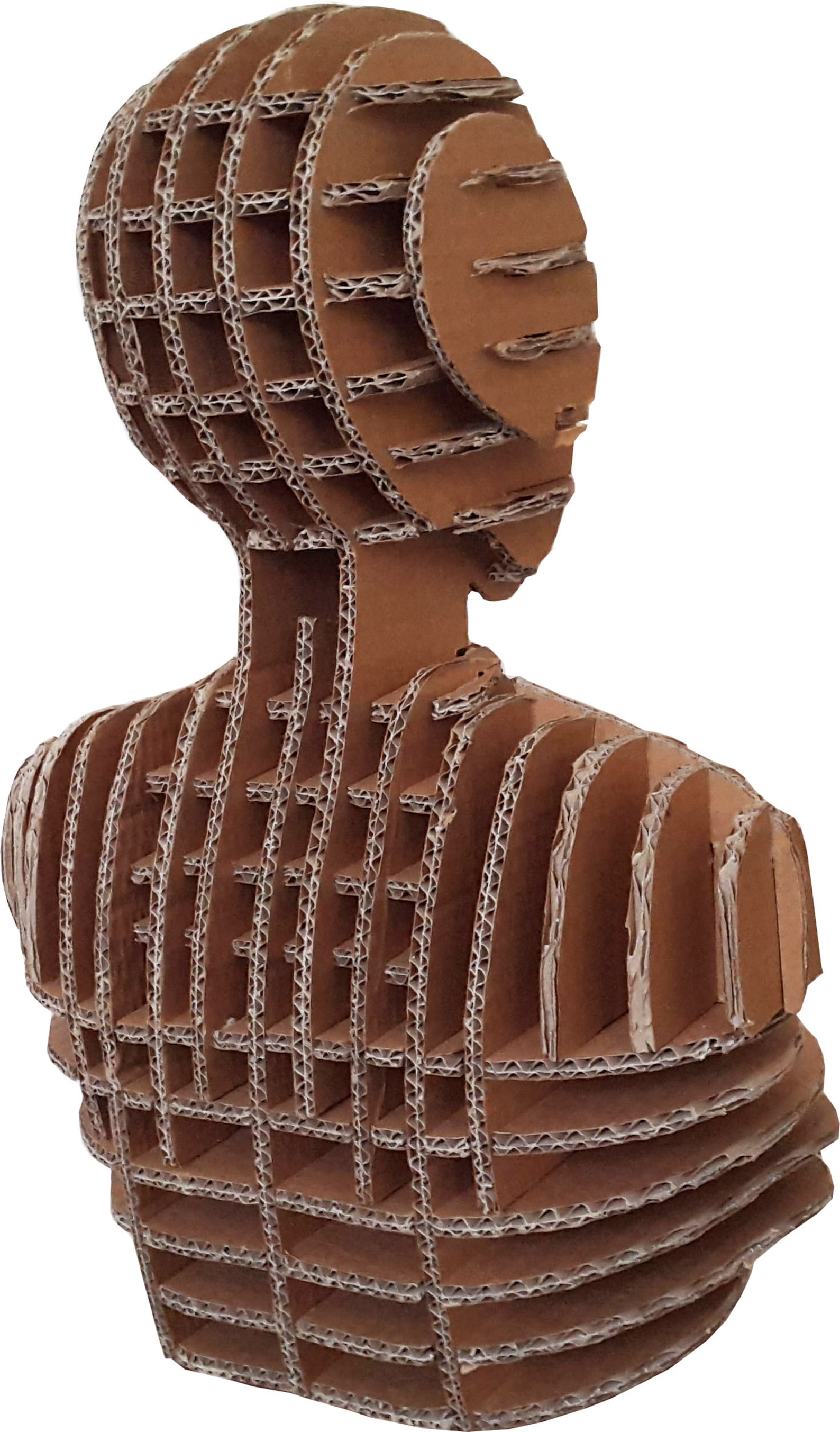 Body Form Dress Form Cardboard Mannequin Mannequin Head DIY Kit Store