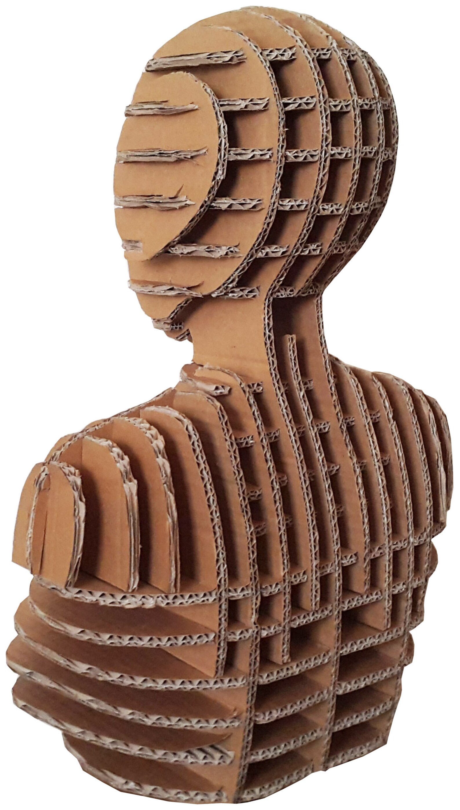 Body Form Dress Form Cardboard Mannequin Mannequin Head DIY Kit Store Display Knitting Gift