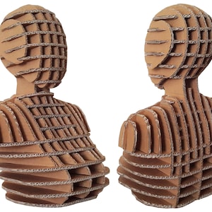 Forma del cuerpo Forma del vestido Maniquí de cartón Cabeza de maniquí Kit de bricolaje Exhibición de la tienda Regalo de tejer Exhibición de ropa Sombreros Exhibición de bufanda Forma ficticia