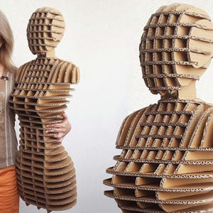 Forma del cuerpo Forma del vestido Maniquí de cartón Exhibición de maniquí Kit de bricolaje Exhibición de tienda Exhibición de ropa de punto Exhibición de sombreros y bufandas ENVÍO GRATIS