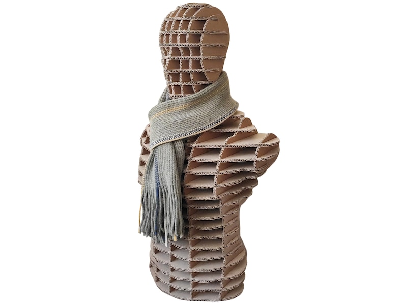 Body Form Dress Form Cardboard Mannequin Man Mannequin Display DIY Kit