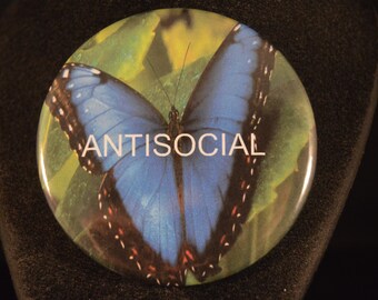 ANTISOCIAL BUTTERFLY  snarky, visually attractive button