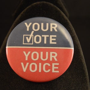 Your Vote Your Voice
