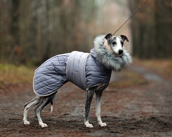 Whippet coat Whippet clothing Spring raincoat for Whippet