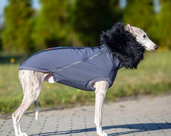 Waterproof jacket  Dog coat  Whippet clothing  whippet coat  whippet jacket  mantle - waterproof