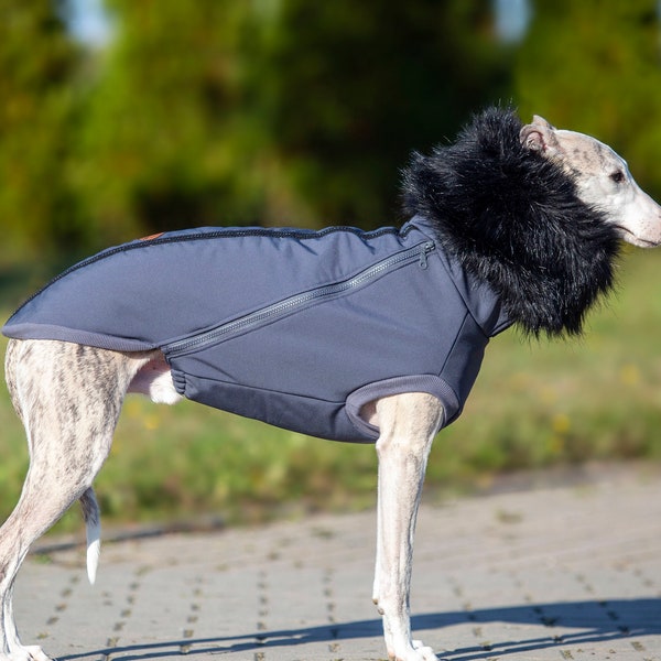 Veste imperméable pour chien, manteau Whippet, vêtements Whippet, manteau whippet, manteau pour chien - imperméable