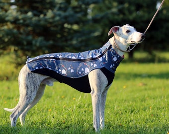 Blouse for Whippet