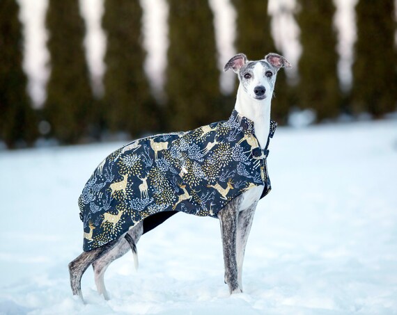 etsy whippet coat