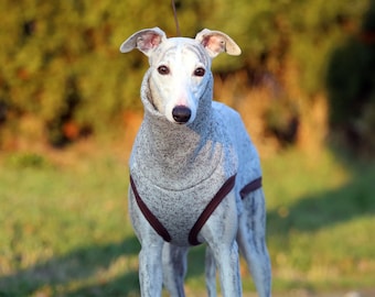 Warmer Whippet Mantel, Hundepullover, Whippet Pullover, Wintermantel, Hundejacke