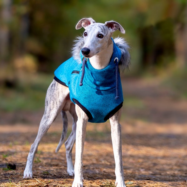 Warm Whippet coat, Dog sweater,  Whippet sweater, Winter coat, Dog Jacket