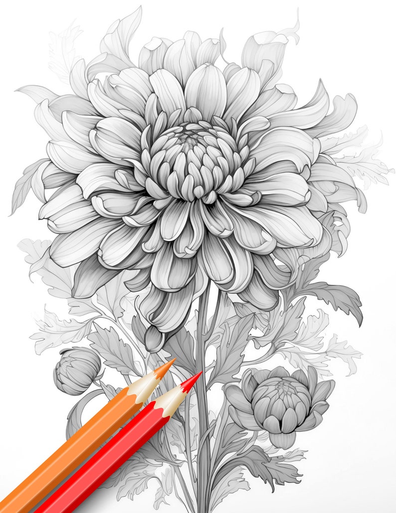 Flowers Coloring Book Page, Line Art Grayscale Instant Download, Dahlia ...