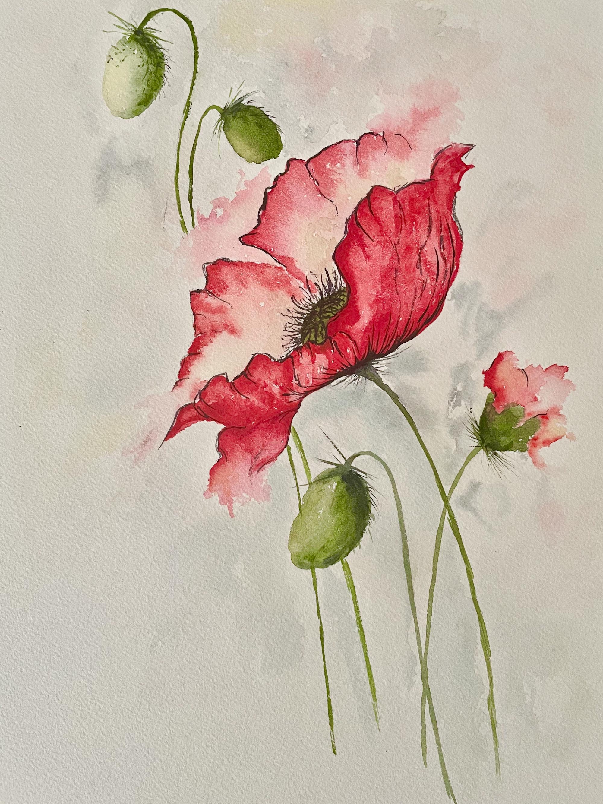 ポピーの絵 オリジナルアート 花の水彩画 Floral Art by