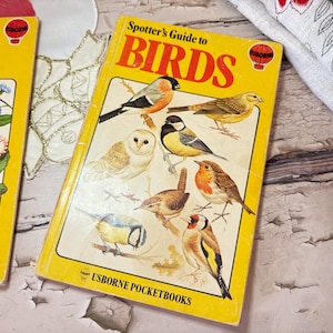 Puede incluir: Un libro amarillo "Guía de identificación de aves" con ilustraciones de varias aves. La portada presenta un gráfico de globo aerostático rojo y naranja. El libro forma parte de la serie Usborne Pocketbooks.