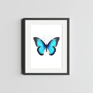 Impression d'art géant papillon machaon bleu impression d'art machaon bleu géant pour la maison Impression de papillon bleu carte postale art papillon