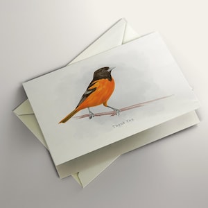 Carte de voeux vierge Oriole de BALTIMORE, Carte de remerciement Oriole, Carte de voeux oiseau, Carte pour toute occasion, Carte oiseau mignon, Carte vierge Oriole