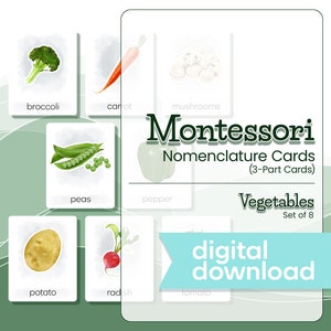 Montessori Nomenclature Cards ILLUSTRATED VEGETABLES, Montessori Materials, Montessori Printable Cards, 3 Part Cards, Flash Cards