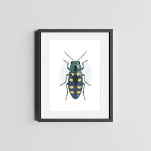 Coccinelle bijou à huit points Impression d'art 5 x 7 de scarabée Impression d'art déco d'oeuvre d'art insecte pour la maison Impression d'art d'insecte Impression d'art aquarelle de scarabée