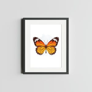 PAPILLON MONARQUE Impression d'art de papillon monarque impression déco pour la maison Impression d'asclépiade carte postale Art aquarelle de papillon monarque