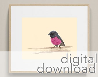 PINK ROBIN Bird Art Print, Digital Art Print, Digital Download, Printable Art Print, Printable Wall Art, Pink Robin Wall Art, Bird Art, 8x10