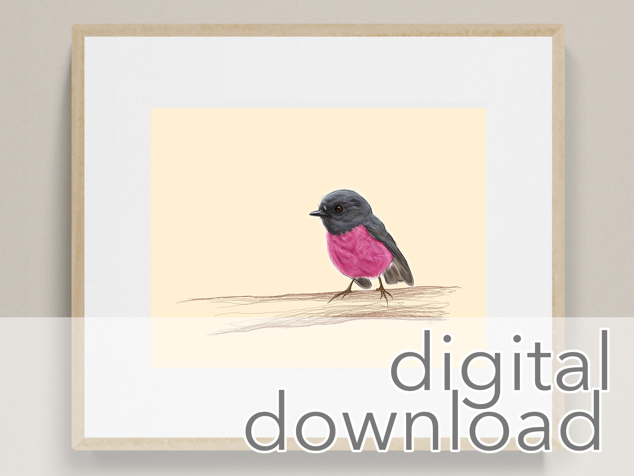 PINK ROBIN Bird Art Print, Digital Art Print, Digital Download, Printable Art Print, Printable Wall Art, Pink Robin Wall Art, Bird Art, 8x10