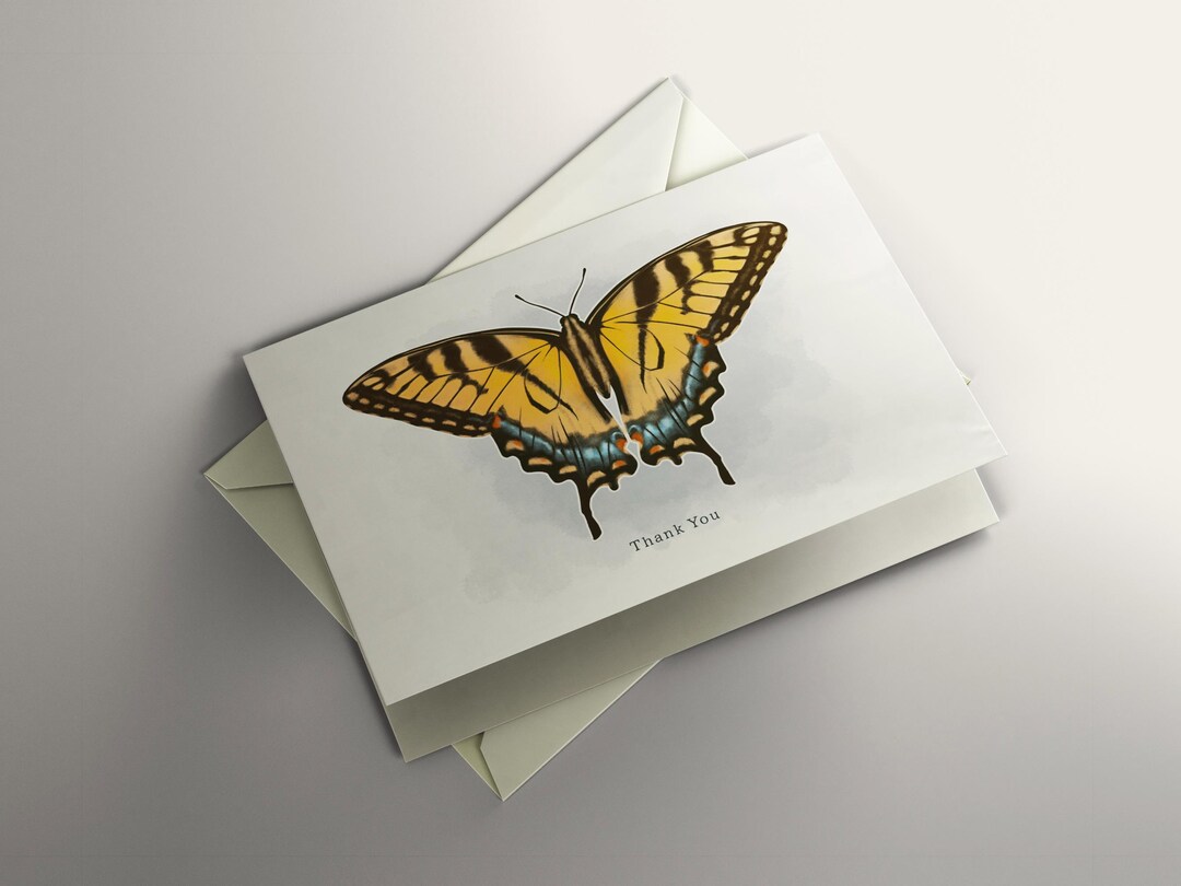 Eastern Tiger Swallowtail Butterfly Thank You Card - Etsy