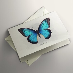 Carte de remerciement géante bleu machaon Carte de voeux minimaliste Cartes de remerciement Carte de voeux papillon Carte de remerciement printanière