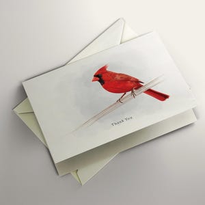 CARDINAL DU NORD Carte de voeux vierge, carte de remerciement cardinal, carte de voeux oiseau, carte pour toute occasion, carte oiseau mignon, oiseau aquarelle