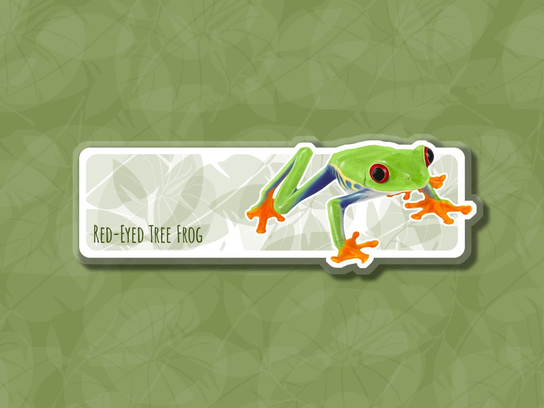 Red Eyed TREE FROG BOOKMARK for Kids Bookmarks for Geeks Gifts for ...