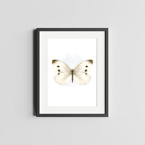 PAPILLON BLANC CHOU Impression d'art papillon de chou blanc impression déco pour la maison Impression de carte postale papillon Carte postale d'art chou blanc