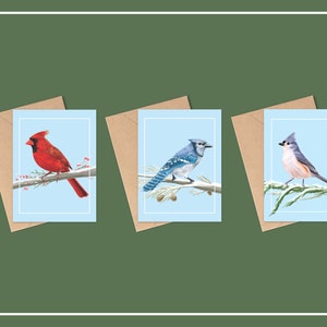 Jeu de cartes de Noël WINTER OISEAUX, carte de Noël A2, carte de vœux, cartes de voeux oiseau, cartes geai bleu mésange, cartes de vœux vierges