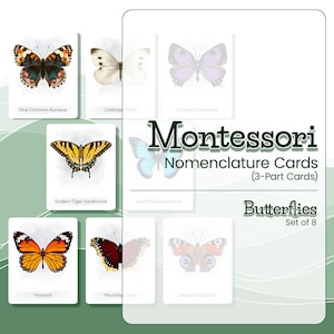 CARTES EN 3 PARTIES PAPILLONS Cartes de nomenclature Montessori papillon Matériel Montessori papillon Cartes flash papillon Matériel scolaire à domicile papillon