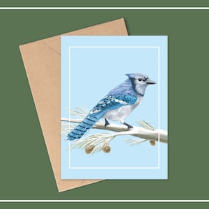 Carte de Noël GEAI BLEU, Cartes de vœux, Cartes de voeux, Cartes de Noël, Cartes de voeux oiseaux, Cartes de vœux vierges, Cartes de Noël A2