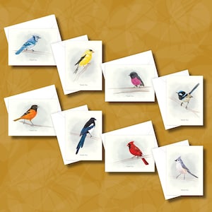 Lot de cartes de remerciement the BIRD Collection Lot de cartes de remerciement vierges Ensemble de cartes de remerciement mignonnes Cartes de remerciement papillon