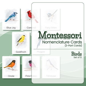 Cartes de nomenclature Montessori OISEAUX ILLUSTRÉS, Matériel Montessori, Cartes en 3 parties, Cartes flash Montessori, Cartes flash enfants, Enseignement à domicile