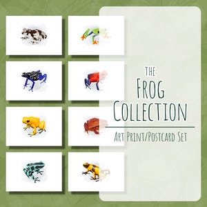 Jeu de cartes postales de grenouille, impression d'art grenouille, art mural grenouille, illustrations de grenouille, décoration murale de grenouille, impression d'art printanier de grenouille