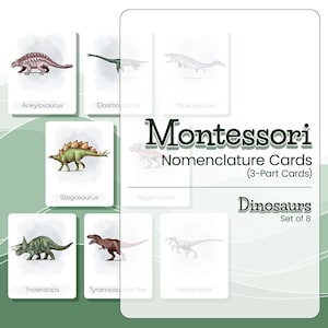 Dinosaures illustrés de cartes de nomenclature Montessori, matériel Montessori, cartes en 3 parties, cartes flash Montessori, matériel d'enseignement à domicile