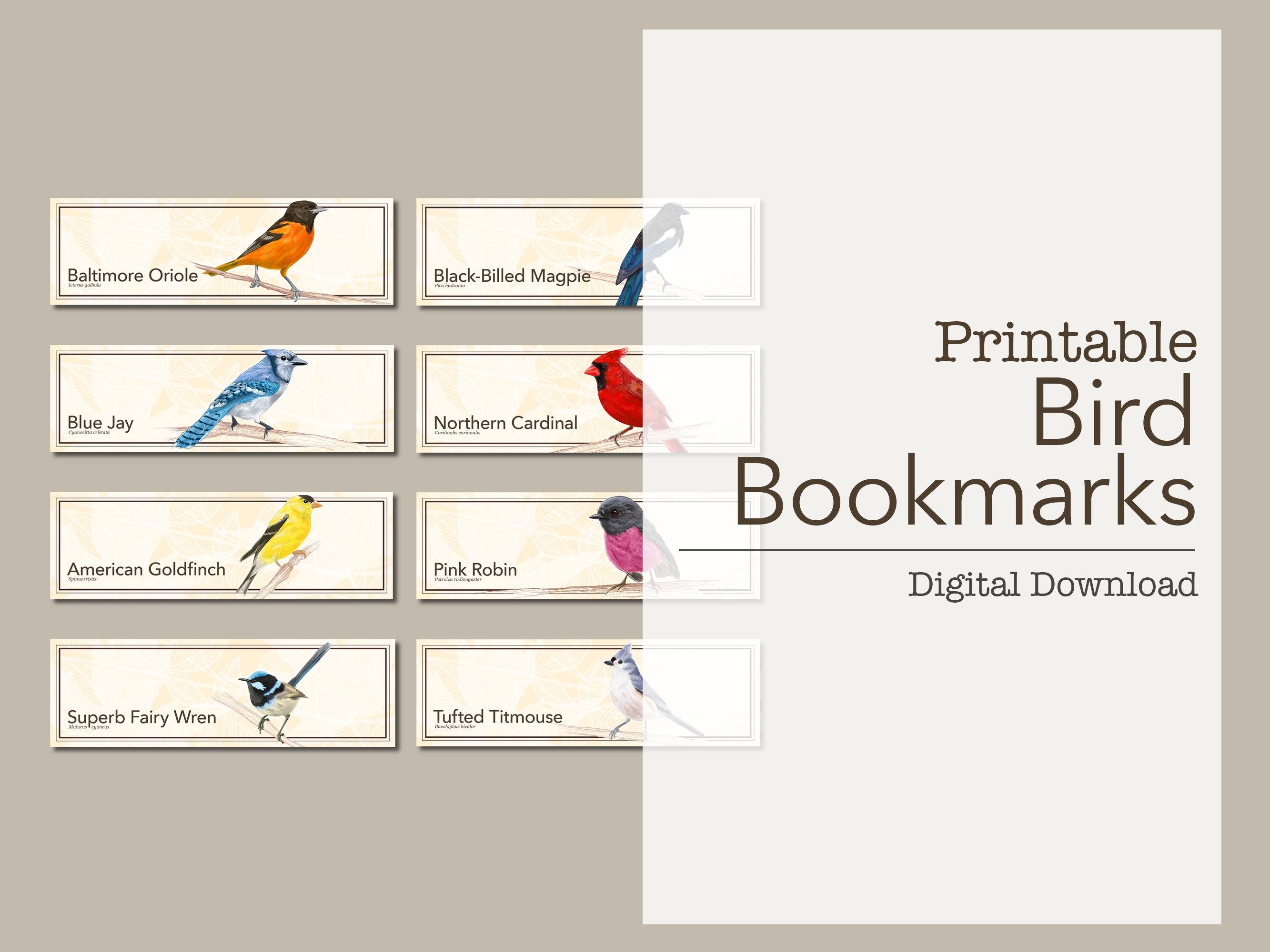 PRINTABLE BOOKMARKS, Bird Bookmark, Digital Bookmark, Printable Birds ...