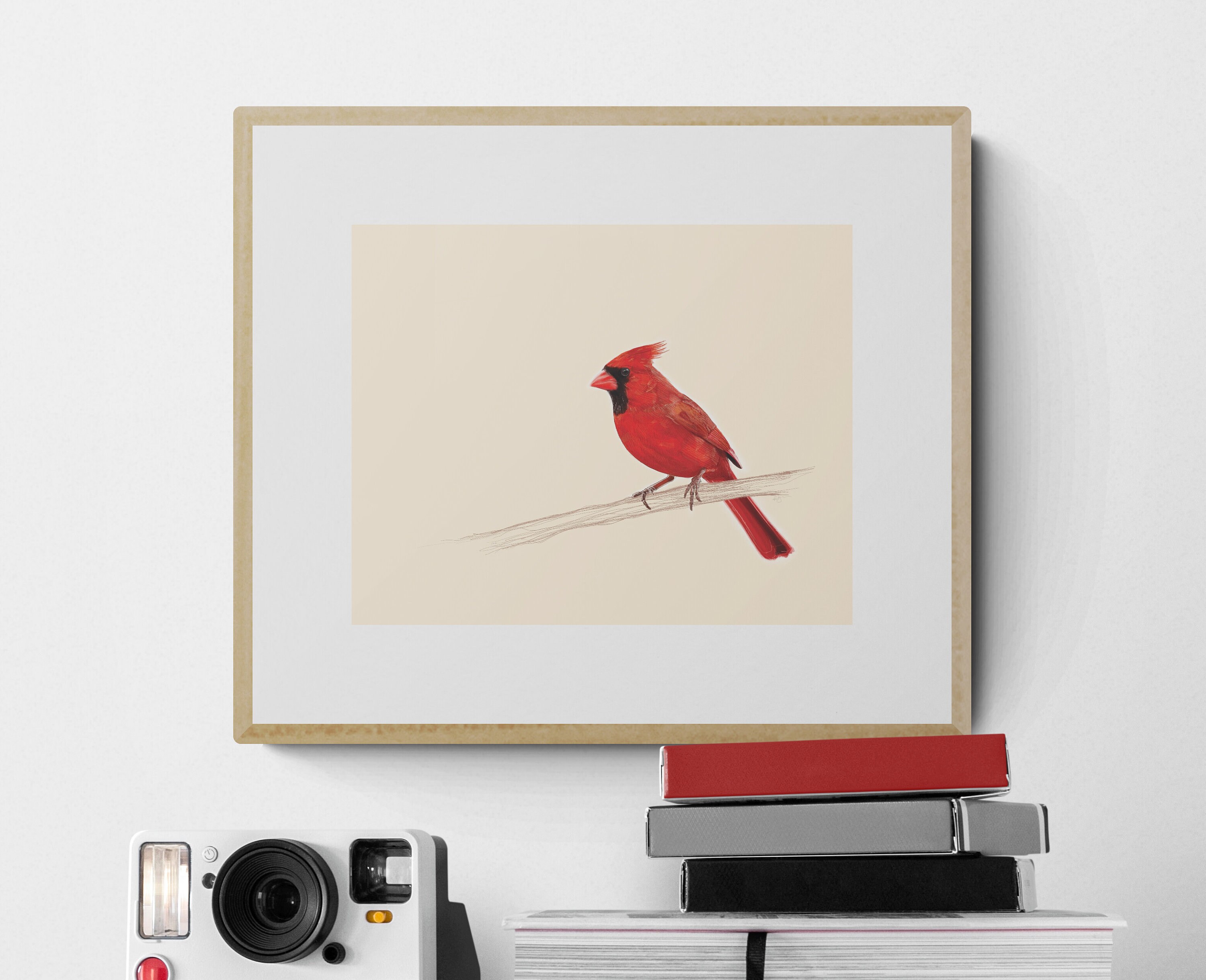 CARDINAL Art Print Bird Art Bird Illustration Classroom - Etsy