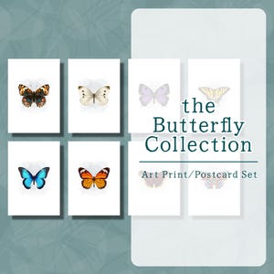 Jeu de cartes postales papillon, impression d'art papillon, art mural papillon, illustrations de papillons, décoration murale d'oiseaux, impression d'art printemps