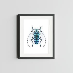 LONGHORN BLEU Impression d'art 5 x 7 de scarabée Impression d'art déco d'oeuvre d'art insecte pour la maison Impression d'art d'insecte impression d'art aquarelle de scarabée