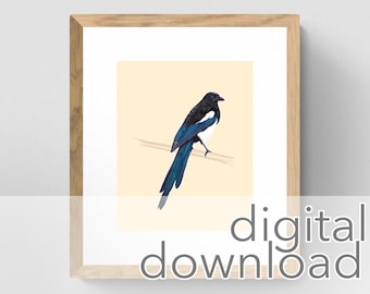 Black-Billed Magpie Bird Art Print (Digital Download)