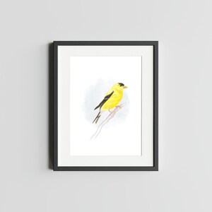 Chardonneret jaune 5 x 7 impression d'art de chardonneret Art décoration murale d'art de chardonneret élégant illustration d'oiseau aquarelle carte postale de chardonneret jaune