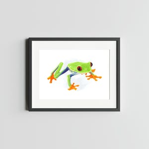 Grenouille arboricole aux yeux rouges Impression 5 x 7 de grenouille impression Decor de grenouille oeuvre d'art pour la maison Impression de carte postale rainette grenouille carte postale d'art aquarelle