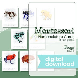 Cartões de Nomenclatura Montessori, SAPOS ILUSTRADOS, Materiais Montessori, Cartões Montessori para Imprimir, Cartões de 3 Partes, Flash Cards, Educação Domiciliar