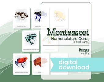 Montessori Nomenclature Cards ILLUSTRATED FROGS, Montessori Materials, Montessori Printable Cards, 3 Part Cards, Flash Cards, Homeschooling