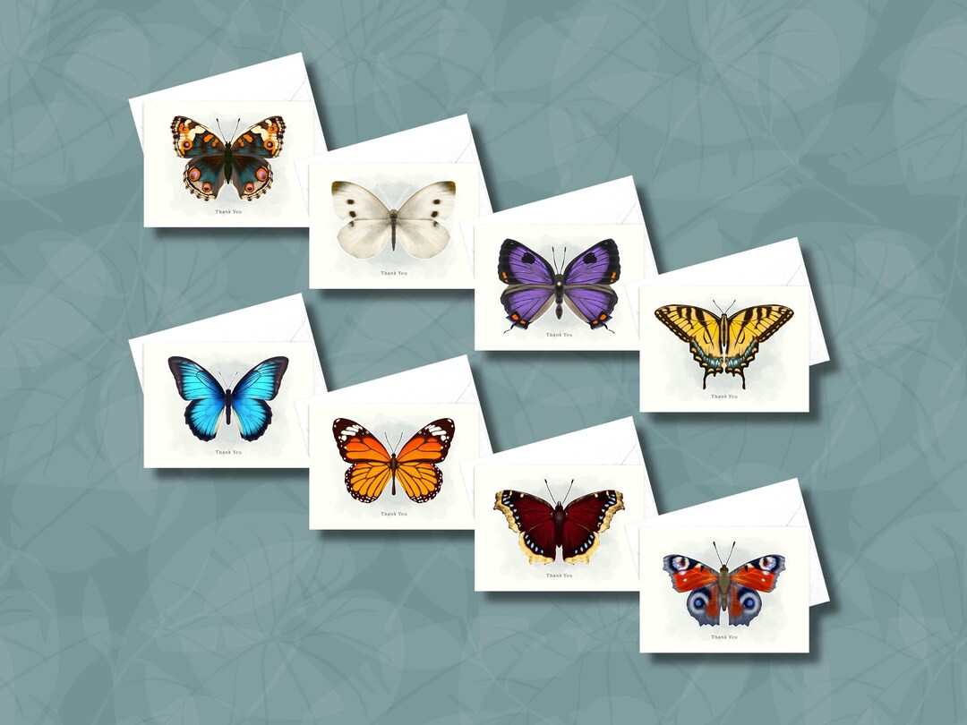 Butterfly Thank You Cards Set, Illustrated Blank Notecards - Etsy