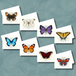 Jeu de 8 cartes de remerciement PAPILLON Jeu de cartes de remerciement vierges Jeu de cartes de remerciement mignonnes Cartes de gratitude papillon